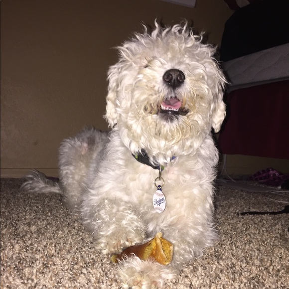 Meet your Posher, R - Picture 1 of 1